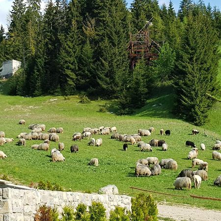 Enjoy The Silence Holiday Home Vlasic Bagian luar foto