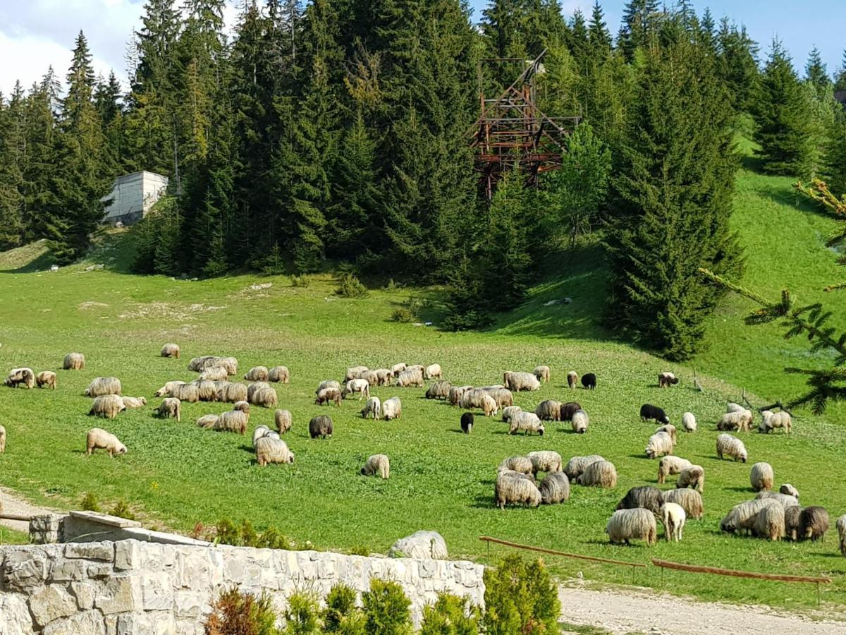 Enjoy The Silence Holiday Home Vlasic Bagian luar foto